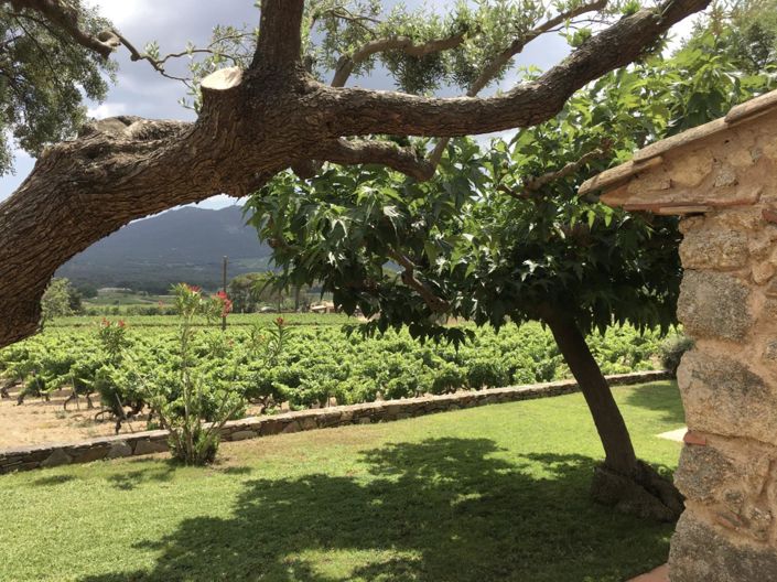 Image No.11-3 Bed House for sale