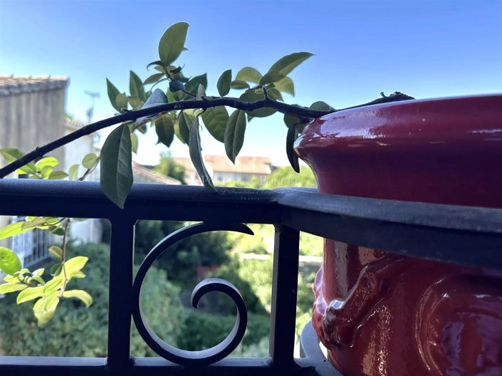 Image No.20-3 Bed House for sale