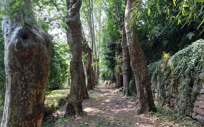 Image No.4-Property for sale