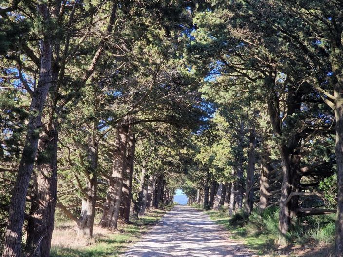 Image No.1-House for sale