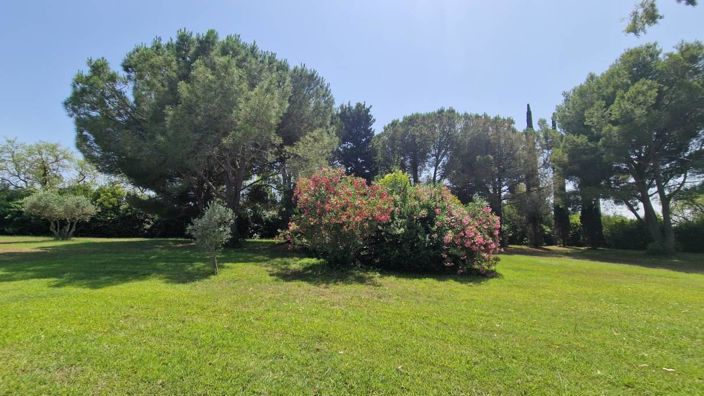 Image No.5-House for sale