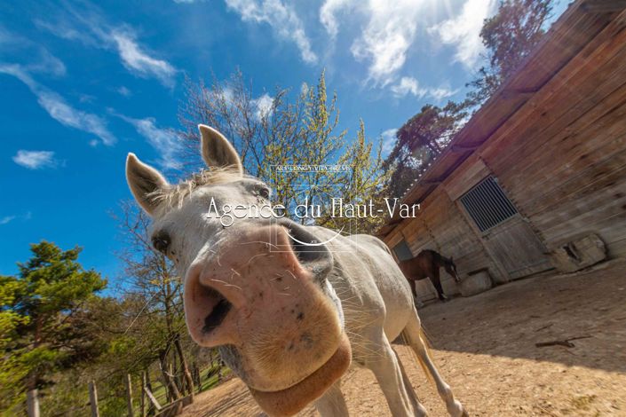 Image No.29-4 Bed House for sale