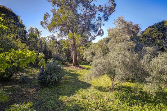 Image No.7-4 Bed House for sale