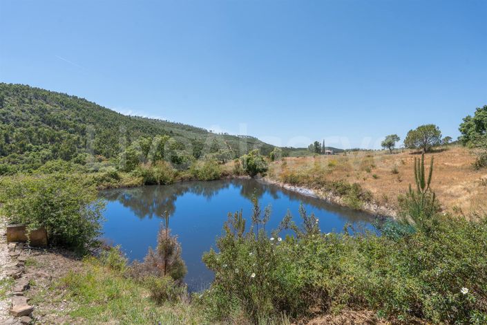 Image No.36-3 Bed House for sale