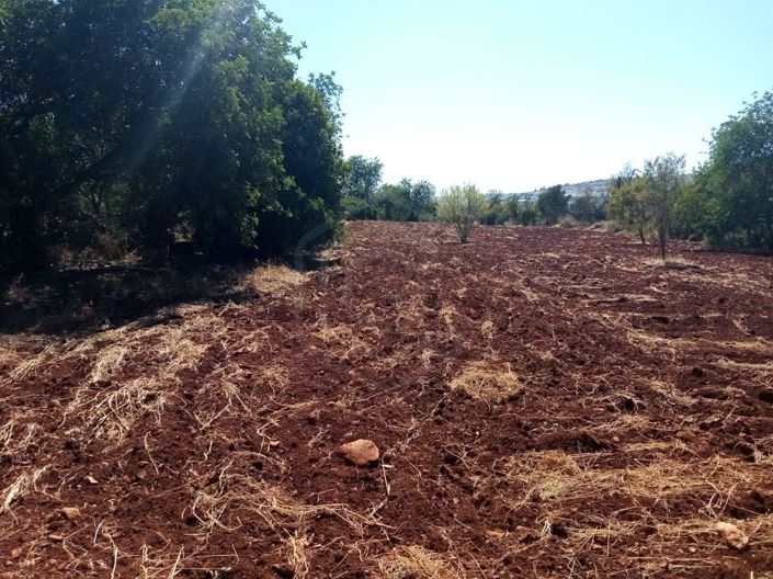 Image No.24-5 Bed House for sale