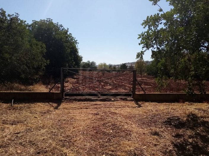 Image No.25-5 Bed House for sale