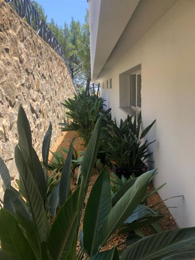 Image No.63-3 Bed House for sale