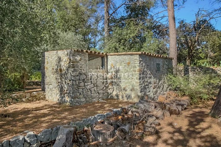 Image No.3-House for sale