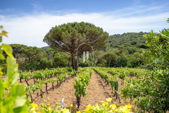 Image No.3-5 Bed House for sale