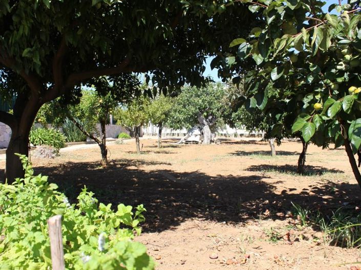 Image No.32-4 Bed House for sale