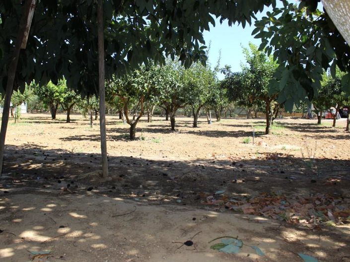 Image No.33-4 Bed House for sale