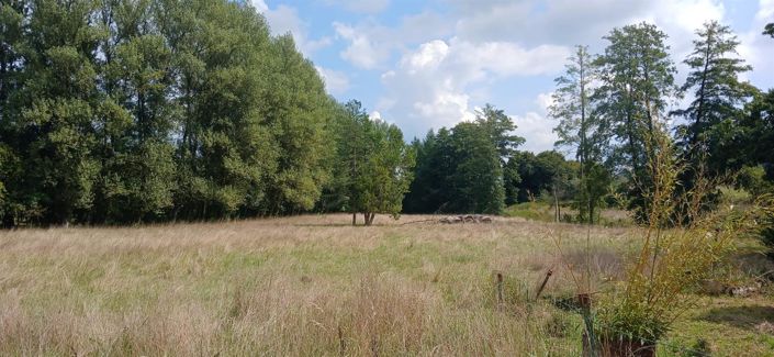 Image No.16-8 Bed House for sale