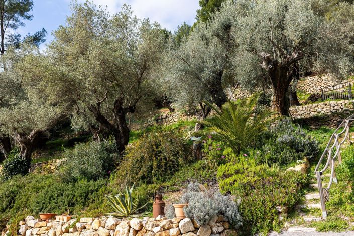 Image No.8-5 Bed House for sale