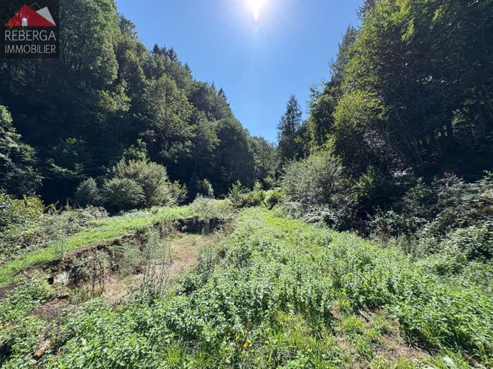 Image No.67-5 Bed House for sale