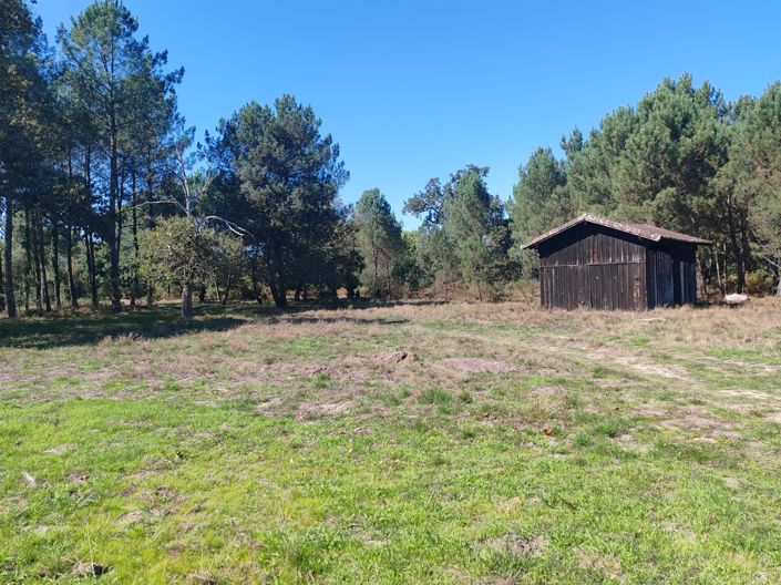 Image No.8-4 Bed House for sale