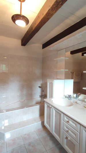 Image No.25-8 Bed House for sale