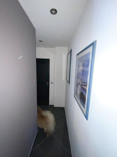 Image No.19-4 Bed House for sale