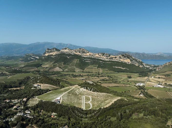 Image No.19-Appartement de 3 chambres à vendre à Saint-Florent