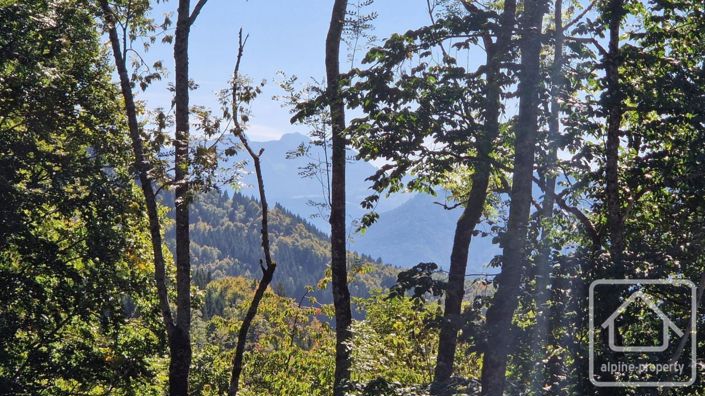 Image No.34-3 Bed House for sale