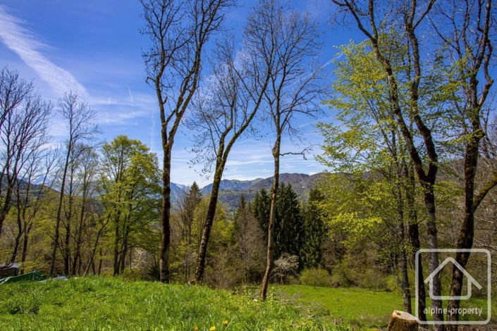 Image No.39-3 Bed House for sale