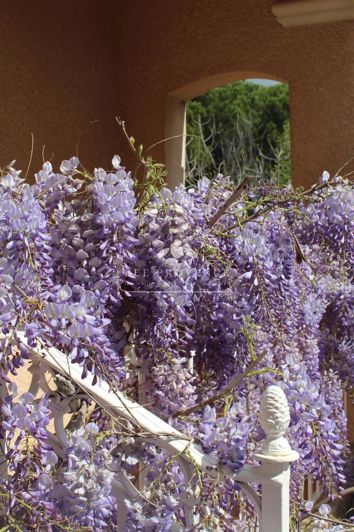 Image No.38-5 Bed House for sale