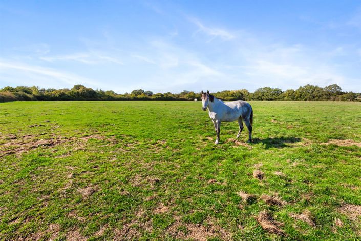 Image No.16-1 Bed House for sale