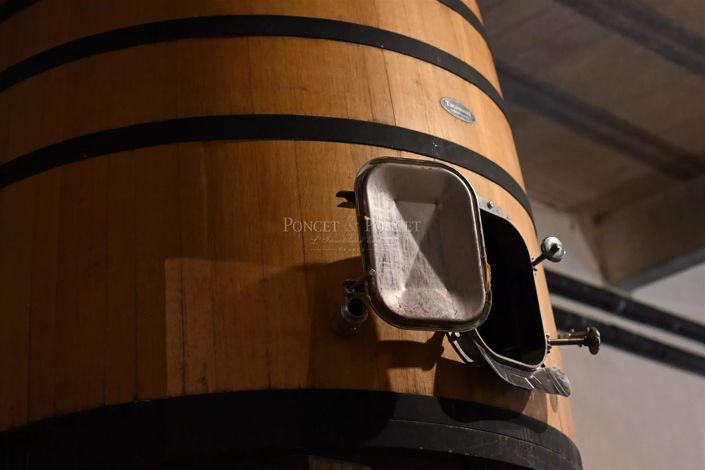 Image No.9-4 Bed House for sale