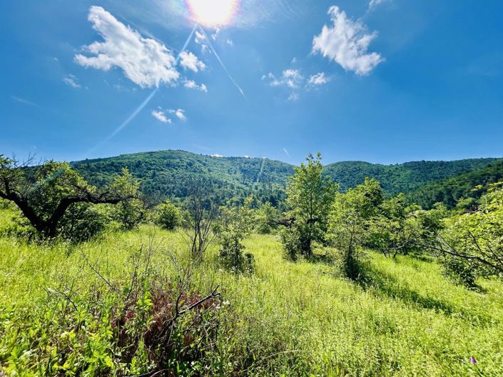 Image No.6-House for sale