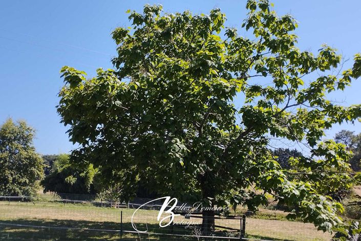 Image No.16-5 Bed House for sale