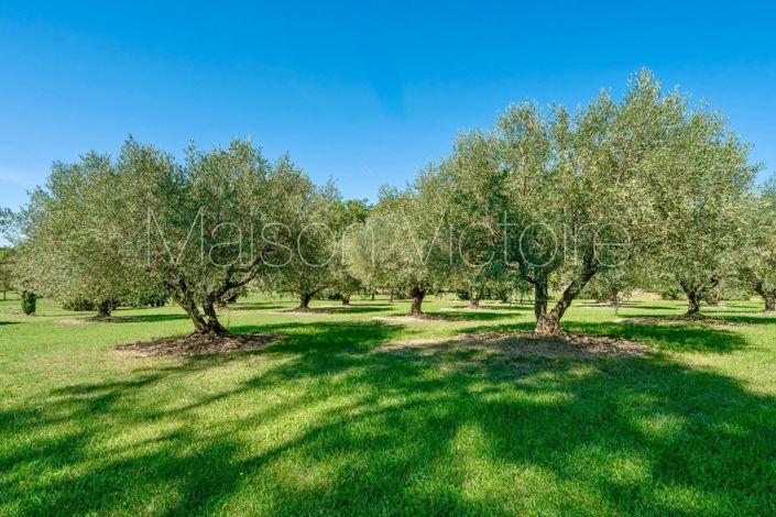 Image No.11-6 Bed House for sale