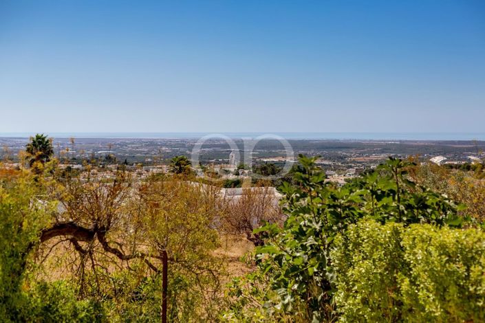 Image No.42-4 Bed House for sale