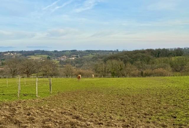 Image No.32-8 Bed House for sale