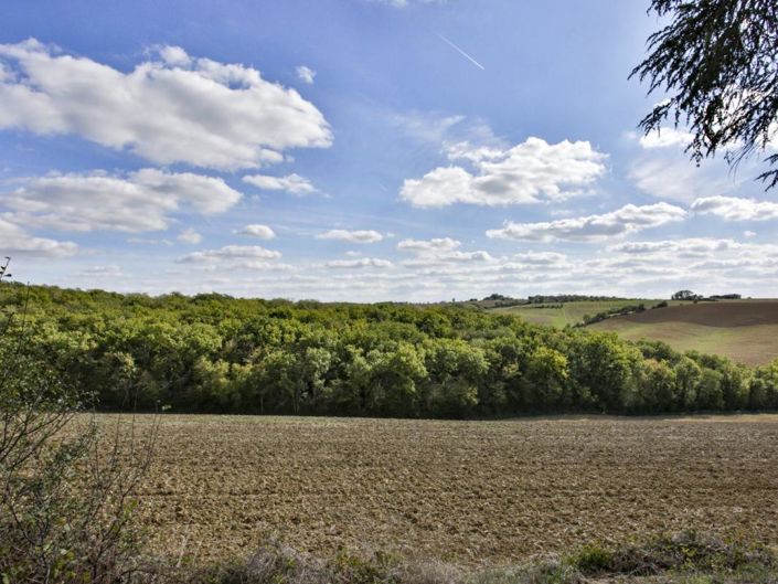 Image No.7-3 Bed House for sale