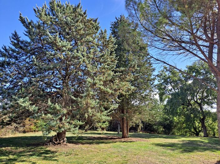 Image No.27-4 Bed House for sale