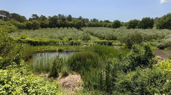 Image No.11-1 Bed House for sale