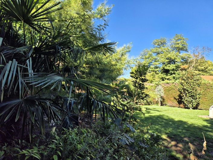 Image No.34-5 Bed House for sale