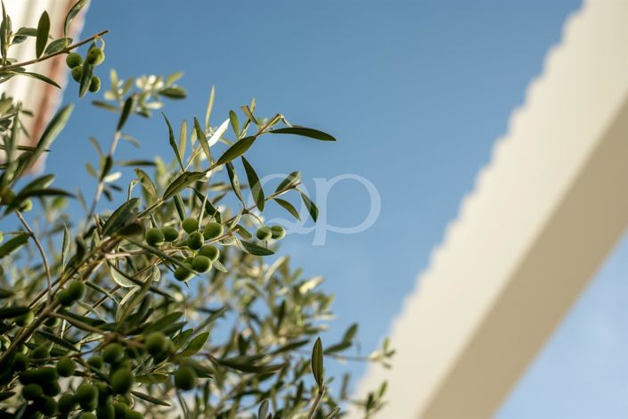 Image No.53-6 Bed House for sale