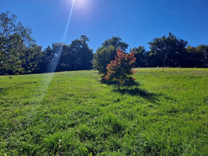 Image No.22-3 Bed House for sale