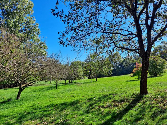 Image No.23-3 Bed House for sale