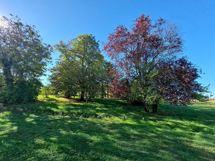 Image No.5-3 Bed House for sale