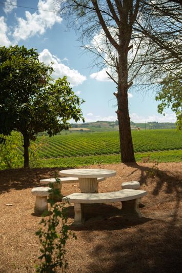 Image No.28-5 Bed House for sale