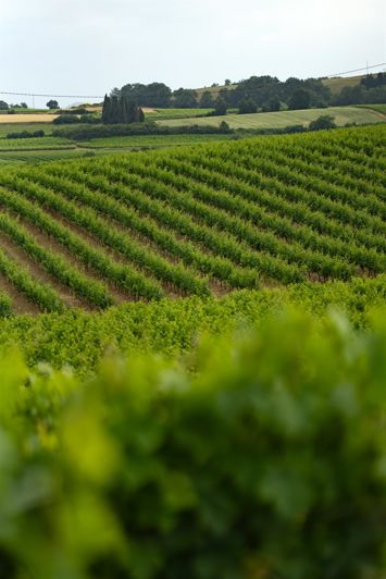 Image No.32-5 Bed House for sale