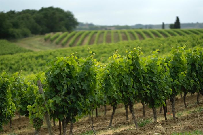 Image No.36-5 Bed House for sale