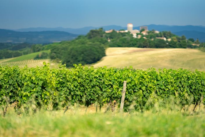 Image No.39-5 Bed House for sale