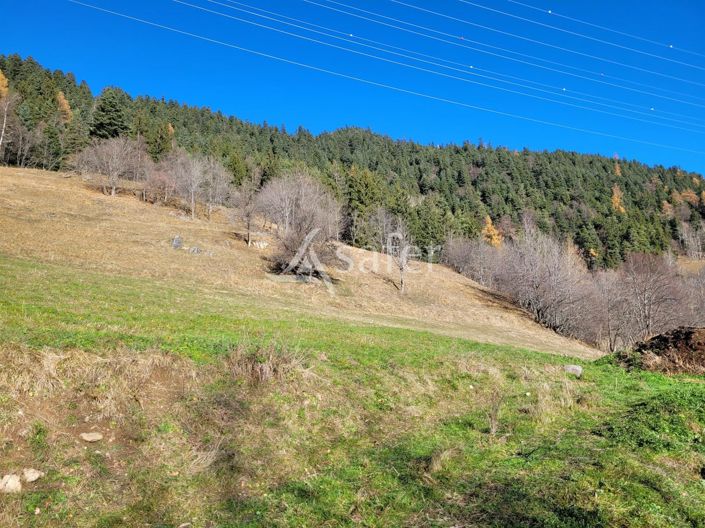 Image No.4-House for sale