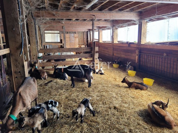 Image No.7-House for sale