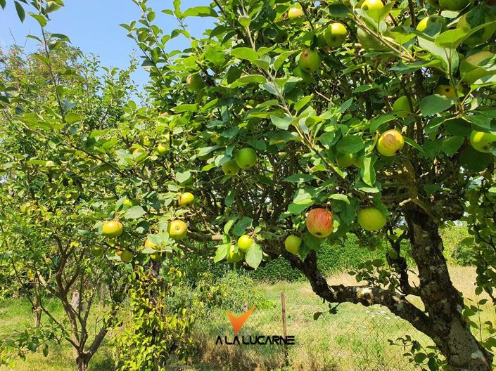 Image No.3-3 Bed House for sale