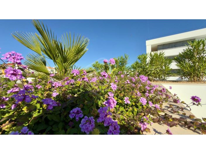 Image No.31-3 Bed Apartment for sale