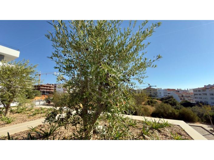 Image No.32-3 Bed Apartment for sale