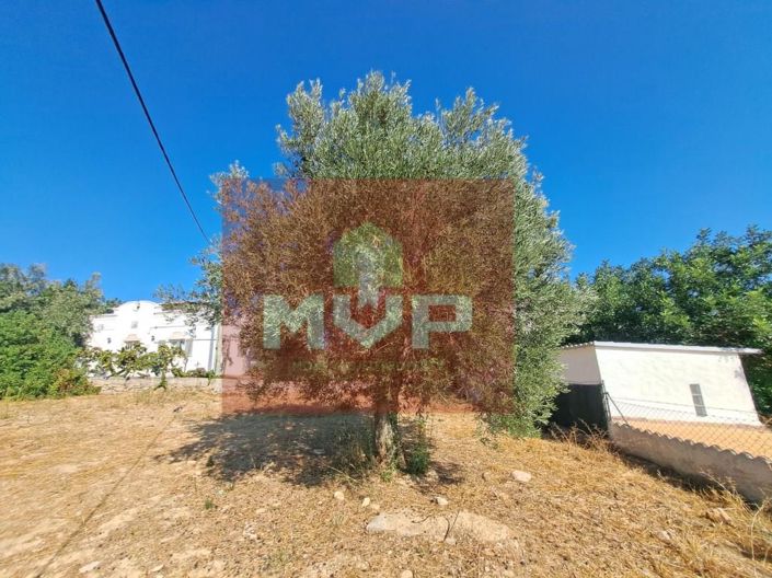 Image No.40-5 Bed House for sale